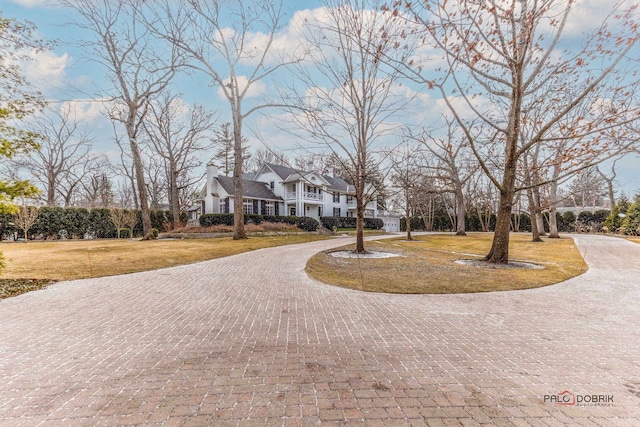 view of front of home featuring curved driveway and a front lawn