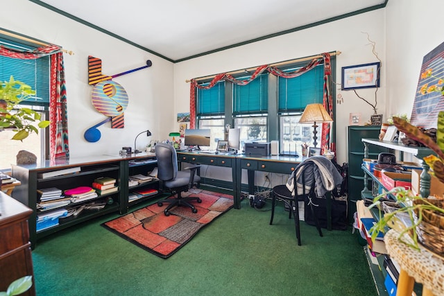 carpeted office with ornamental molding