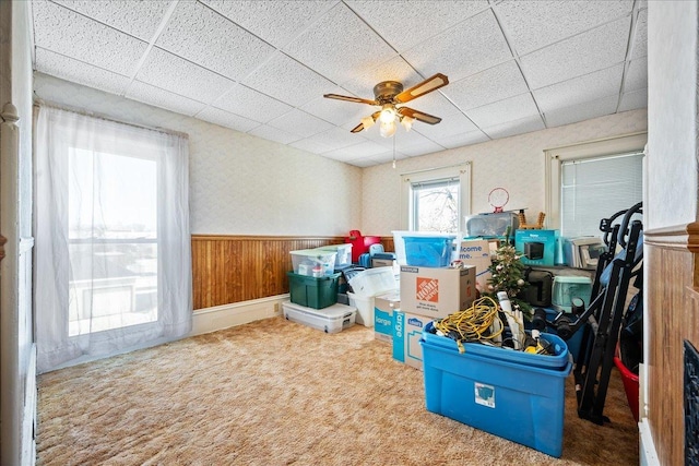 storage room with ceiling fan