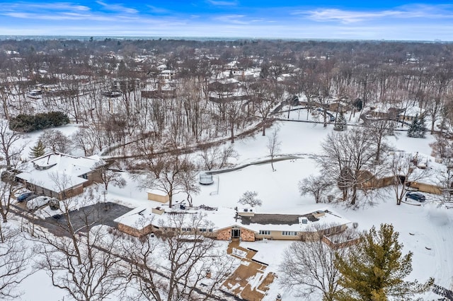 view of snowy aerial view