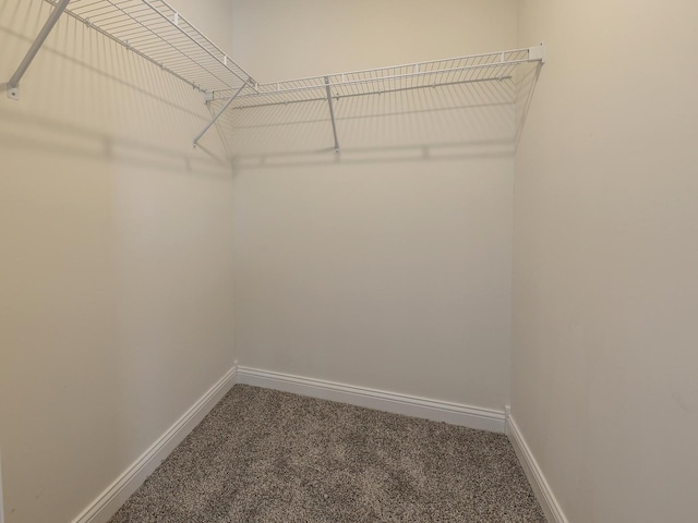 walk in closet with carpet flooring