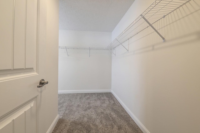 spacious closet with carpet flooring