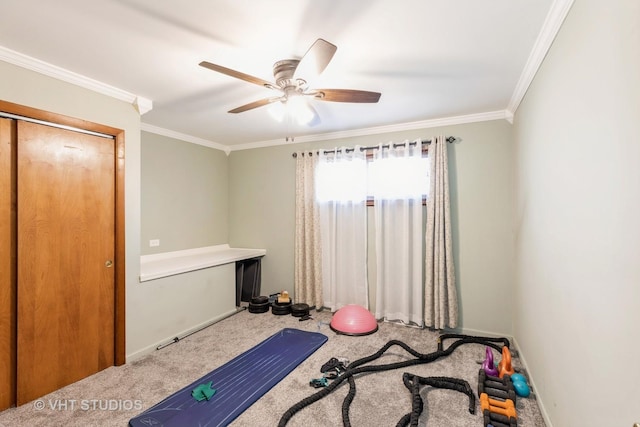 exercise room with baseboards, carpet flooring, a ceiling fan, and crown molding