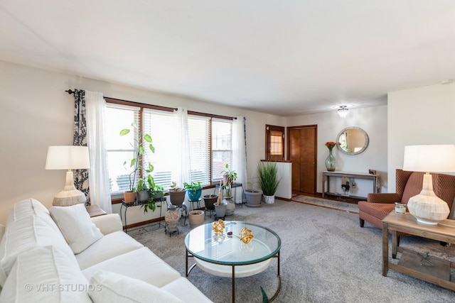 living area with carpet and baseboards