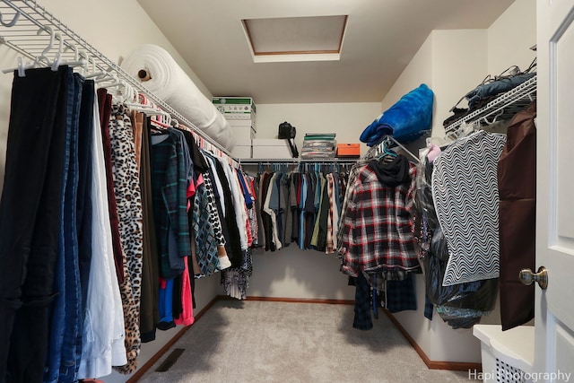 spacious closet featuring visible vents, carpet, and attic access