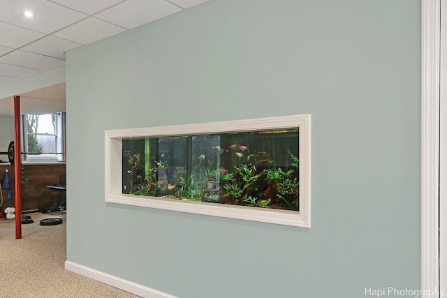 room details featuring a drop ceiling, carpet flooring, and baseboards