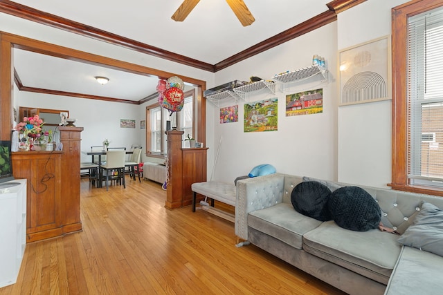 living room with a ceiling fan, radiator, crown molding, and light wood-style flooring