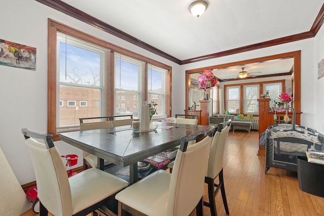 dining room featuring ornamental molding, radiator, and light wood-style flooring