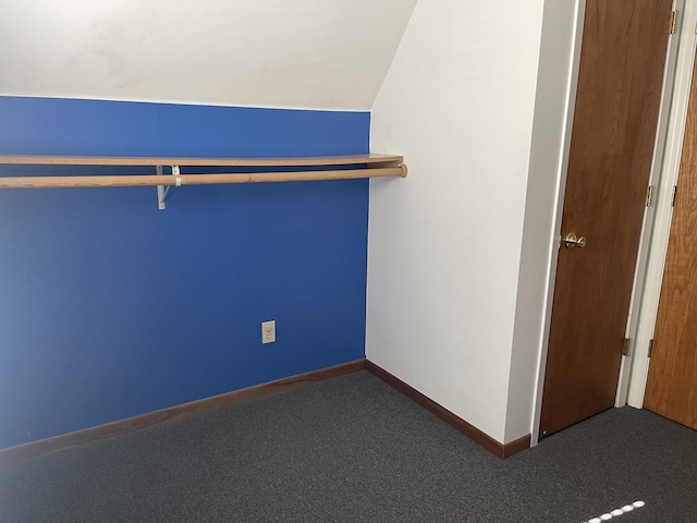 walk in closet with carpet