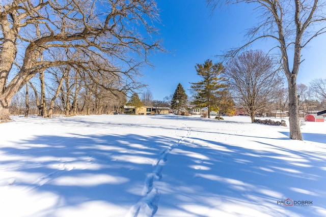 view of yard layered in snow