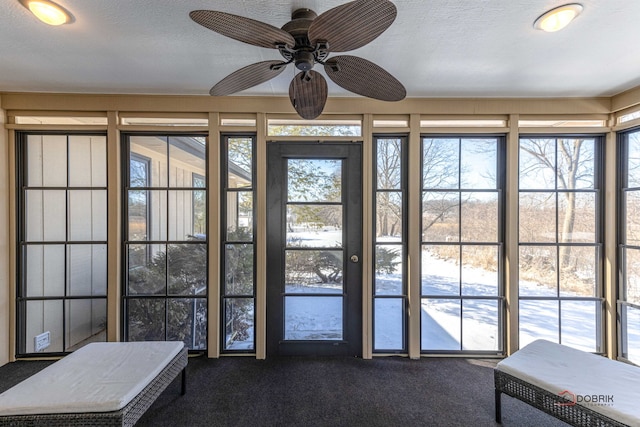 entryway featuring carpet and a textured ceiling