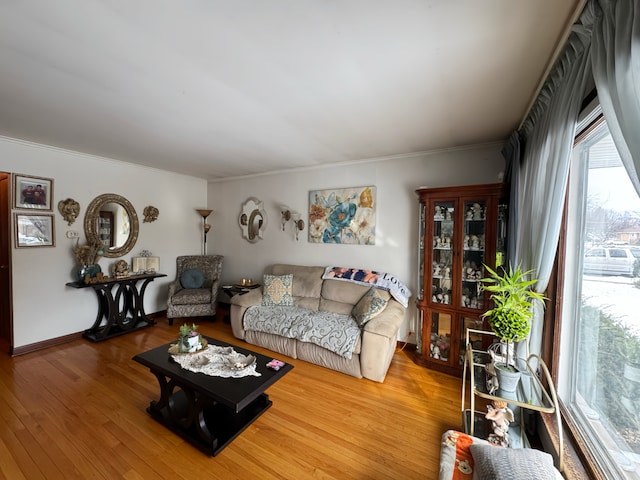 living area with ornamental molding, baseboards, and wood finished floors