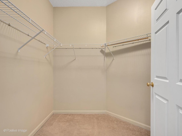 spacious closet with carpet floors