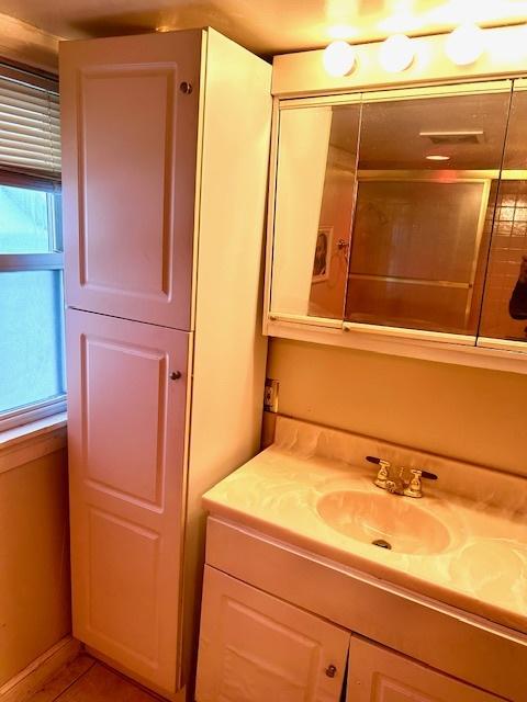 bathroom featuring vanity and a wealth of natural light