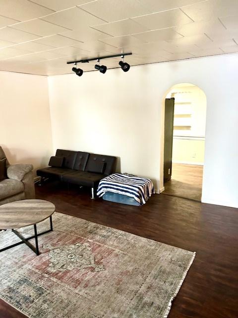 living area with arched walkways, dark wood-type flooring, and rail lighting