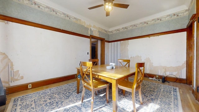 dining space with baseboards, wood finished floors, a ceiling fan, and crown molding