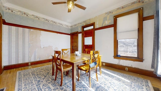 dining room featuring ceiling fan, wood finished floors, visible vents, baseboards, and ornamental molding