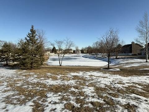 view of yard covered in snow