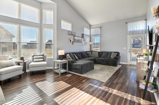 living area featuring baseboards, high vaulted ceiling, and wood finished floors