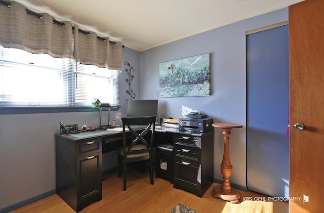 office featuring light wood-style flooring, baseboards, and ornamental molding