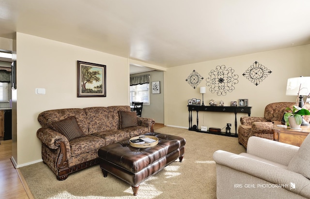 living area featuring baseboards