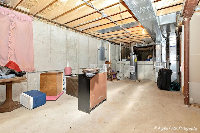 unfinished basement featuring gas water heater and electric panel