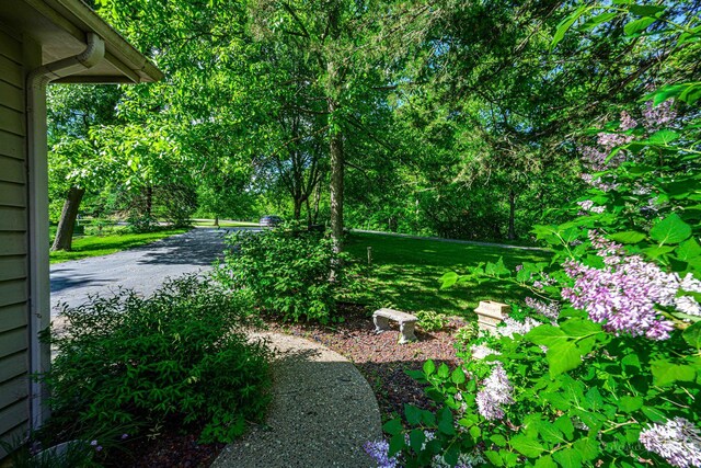 18 Colony Ln, Galena, IL 61036 - view of yard