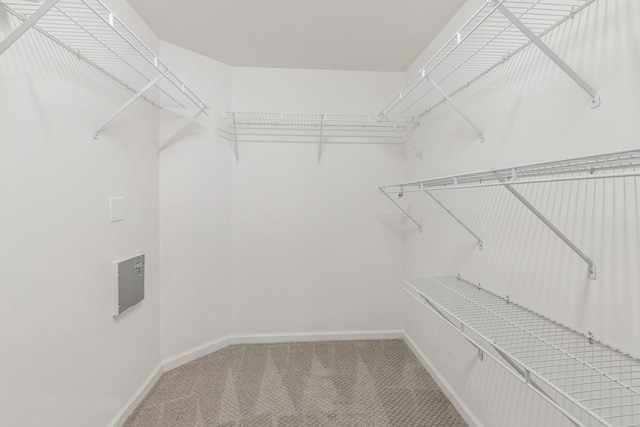 spacious closet with carpet floors