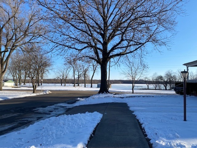 view of yard covered in snow