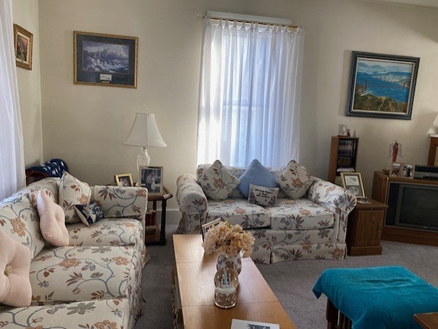 carpeted living room featuring plenty of natural light