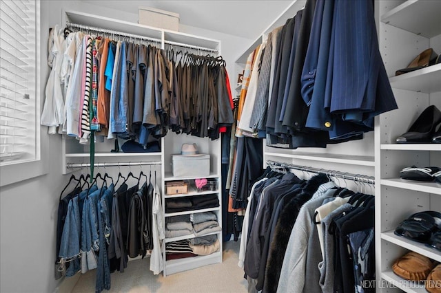 walk in closet featuring carpet