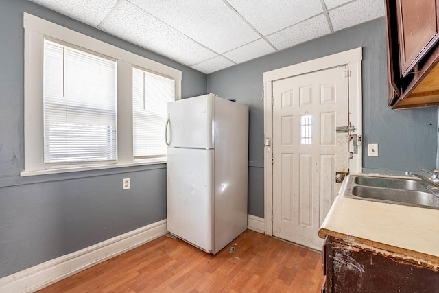 kitchen featuring baseboards, a drop ceiling, freestanding refrigerator, light wood-style floors, and a sink