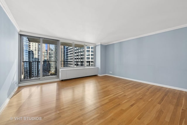 spare room featuring ornamental molding, baseboards, a city view, and light wood finished floors