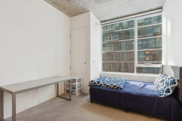 sitting room featuring light colored carpet