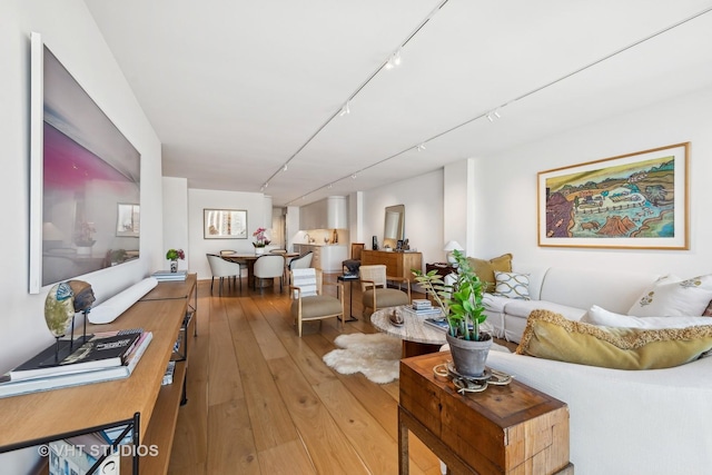 living area with rail lighting and light wood-style flooring