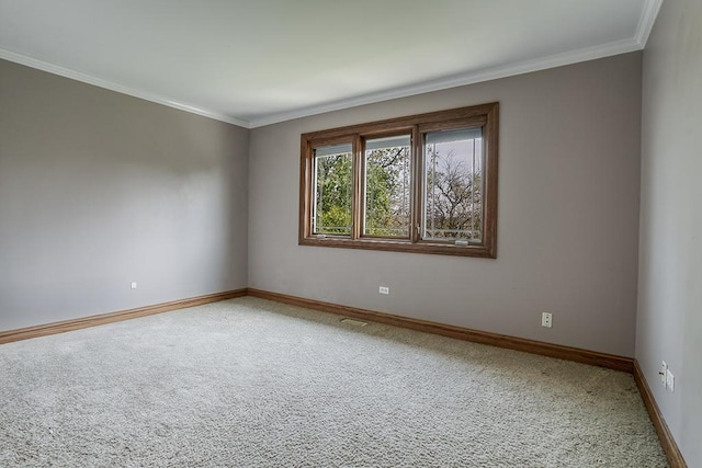 empty room with carpet flooring, baseboards, and crown molding