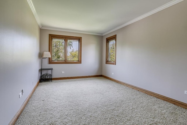empty room with carpet floors, crown molding, and baseboards