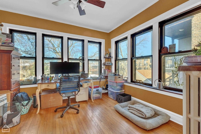 office with baseboards, ornamental molding, and hardwood / wood-style floors