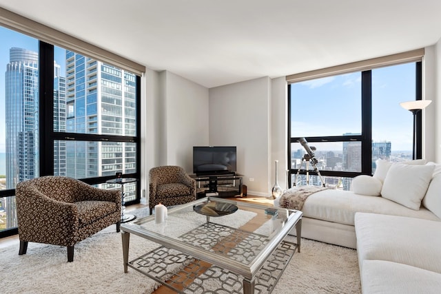 living room featuring a view of city, light wood-style floors, a wall of windows, and baseboards