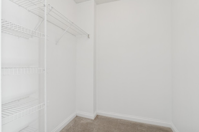 spacious closet with carpet flooring