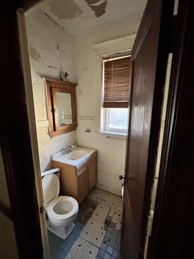 bathroom with toilet and vanity