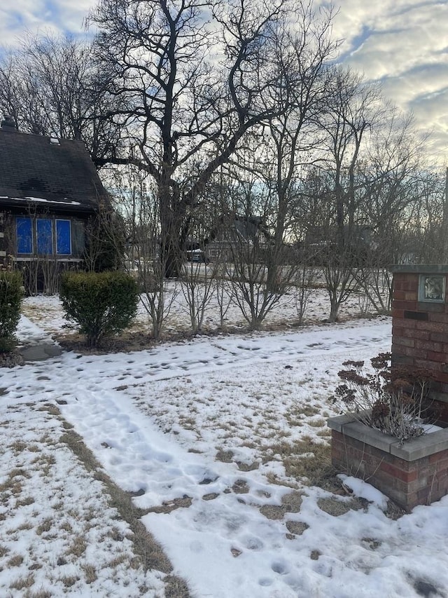 view of yard covered in snow