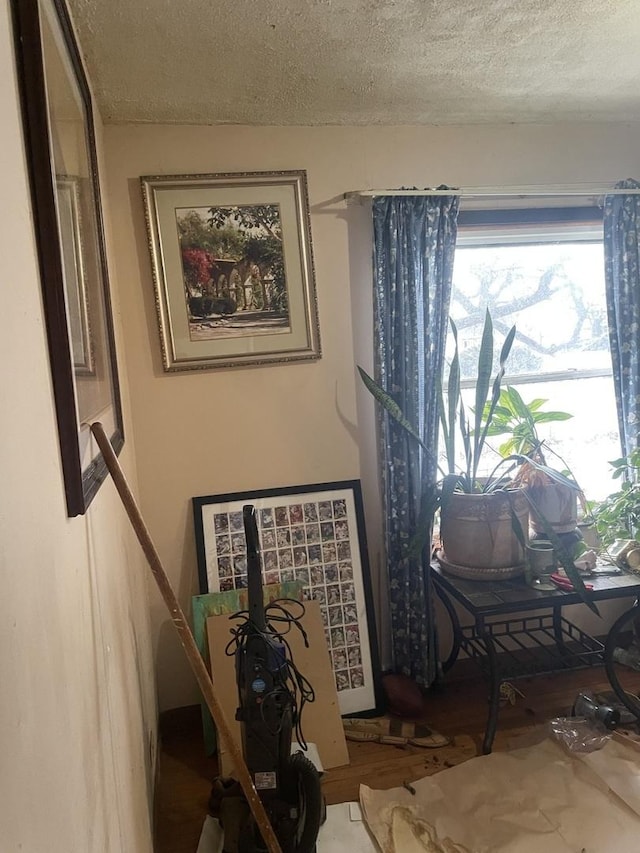 sitting room with a textured ceiling