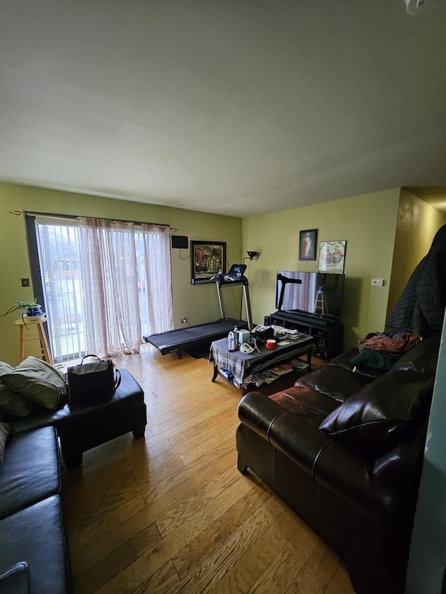 living room featuring hardwood / wood-style flooring