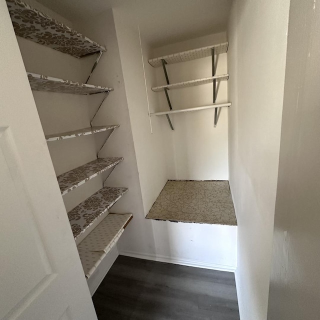 walk in closet featuring wood finished floors