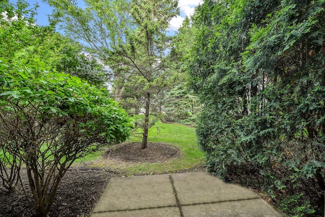325 Veneto Way, Bloomingdale, IL 60108 - photo 23