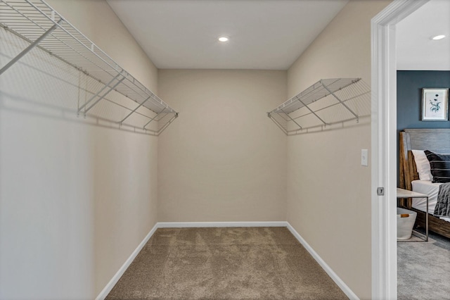 spacious closet featuring carpet flooring