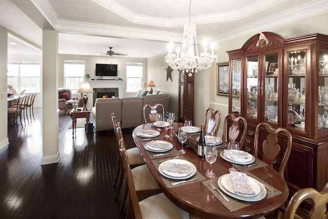 dining room featuring ornamental molding, dark wood-style flooring, a lit fireplace, a tray ceiling, and ceiling fan with notable chandelier