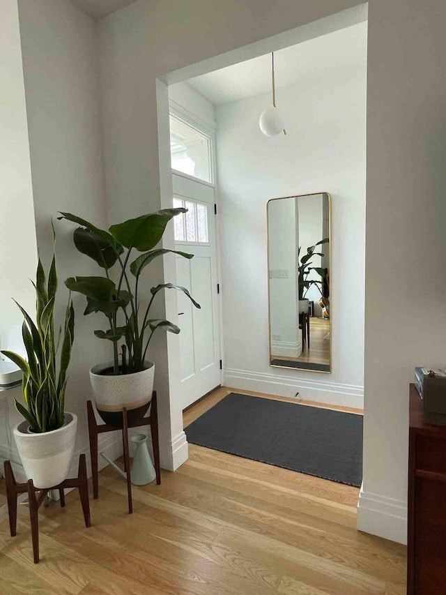 foyer with light wood-type flooring and baseboards