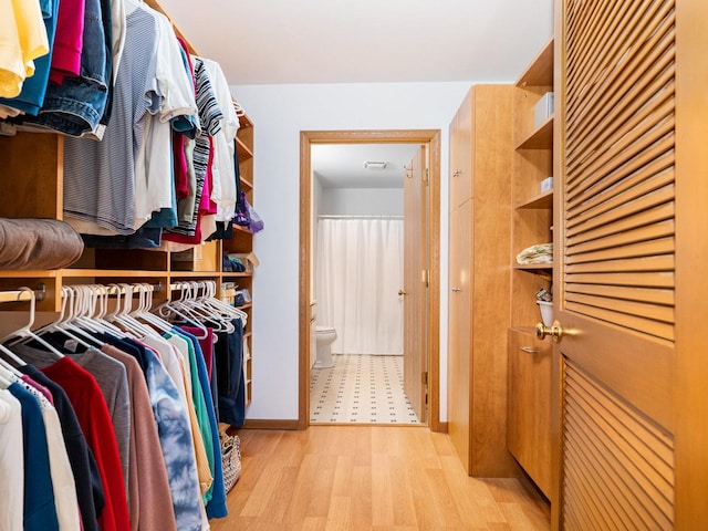 spacious closet featuring wood finished floors